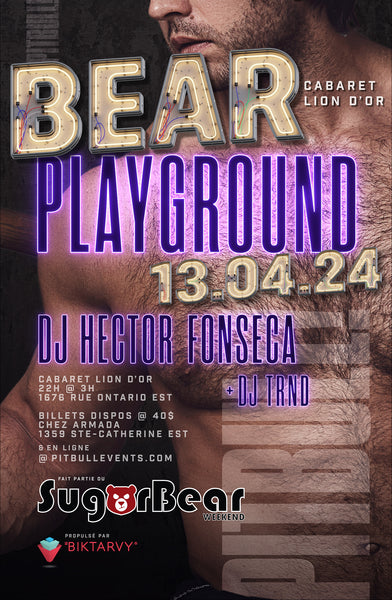 Bear Playground